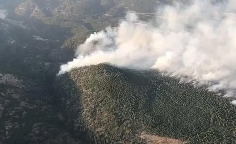 Pakdemirli : Denizli’de 200 hektarlık alan yandı