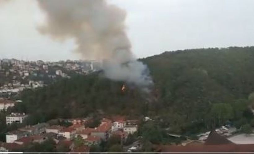 Anadolu Hisarı'nda orman yangını
