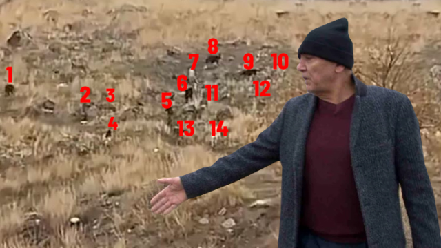 Evladımı ısırmamışlar, resmen yemişler