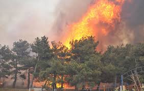 Çanakkale'de orman yangını!