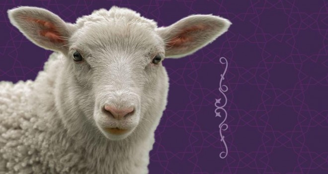 Kurban Bayramı tatili uzatılmadı!