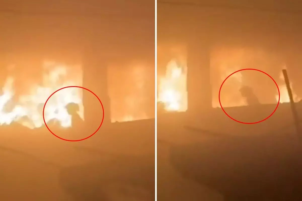 Gazzede Çaresizliğin Son Görüntüsü