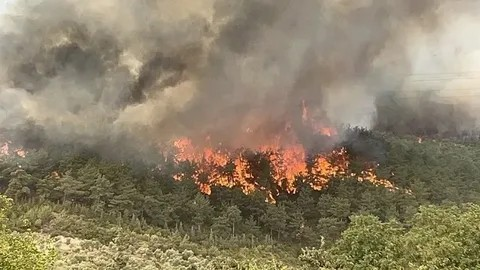 Orman Yangınlarında Son Durum 