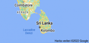 Sri Lanka Ekonomisi Çöktü